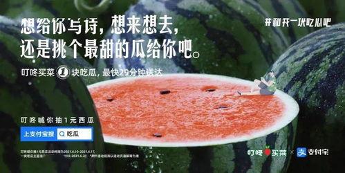 吃瓜文案娱乐圈,揭秘明星幕后故事